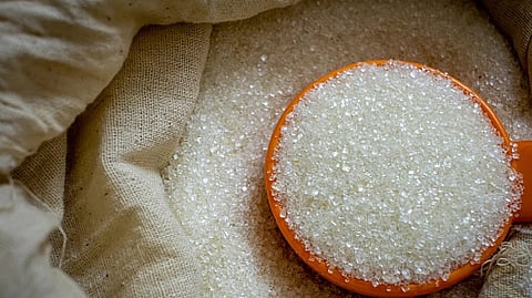 Sugar stocks surge as sector consolidates