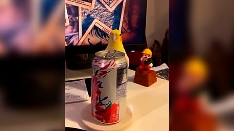 Screengrab from the video