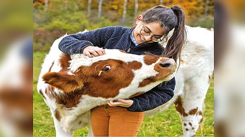 Representative image