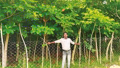 M Kalaimani in front of a Miyawaki forest created by Vanam, his organisation