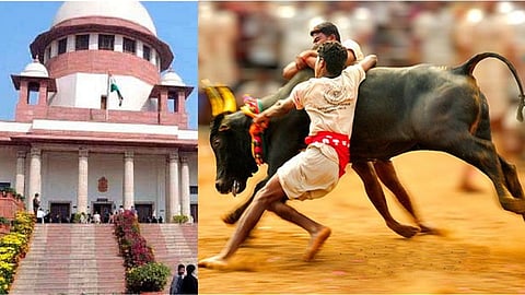 (L) Supreme Court, Jallikattu