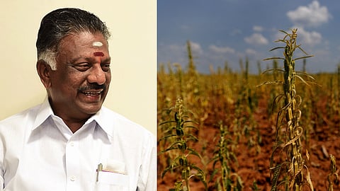 O Panneerselvam