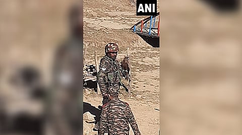Indian Army troops using trained Kites to prey on enemy drones