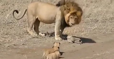 Screengrab from video