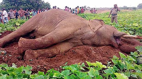 Representative image