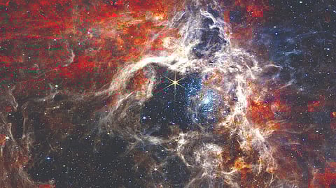 Representative image