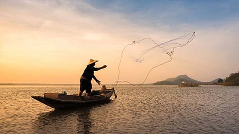 Representative Image