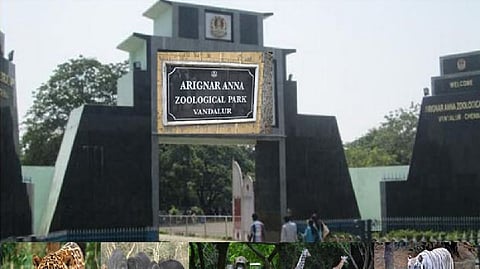 Vandalur zoo to remain open today