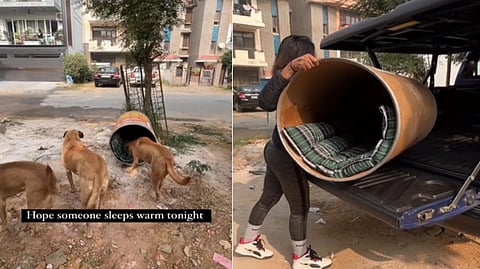 Screengrab from the video