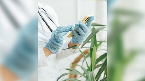 Representative Image