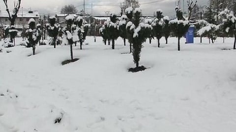 Vehicles stranded, trains suspended as record snowfall hits Japan