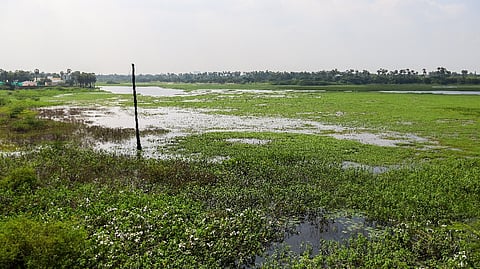 Representative image