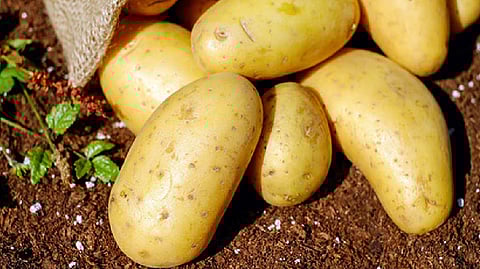 Representative image