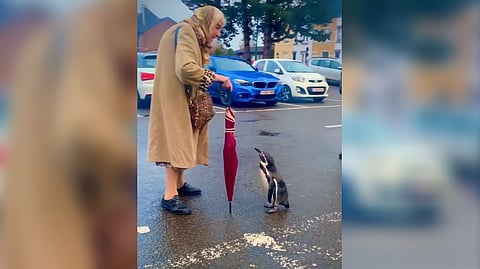 Screengrab from video