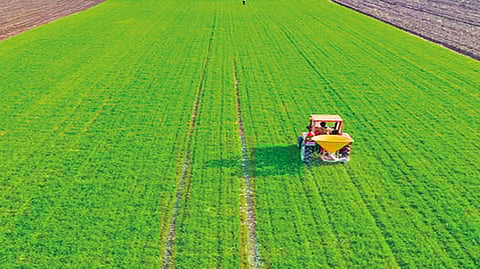 Representative image