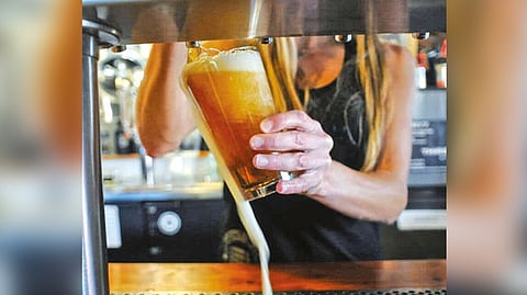 Before beer became lager, a microbe made a mysterious trip