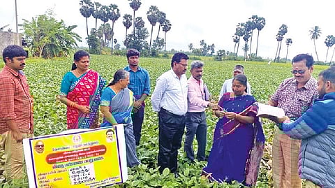 Seeds for Kalaignar agri scheme checked