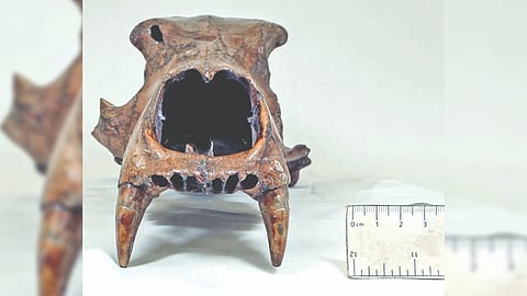 Representative Image