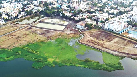 Sembakkam Lake with artificial bund and sewage pond