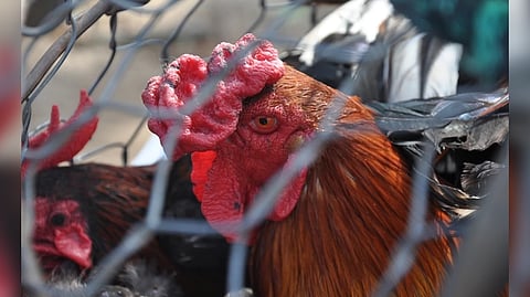 Representative Image