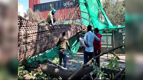 A visual from the spot