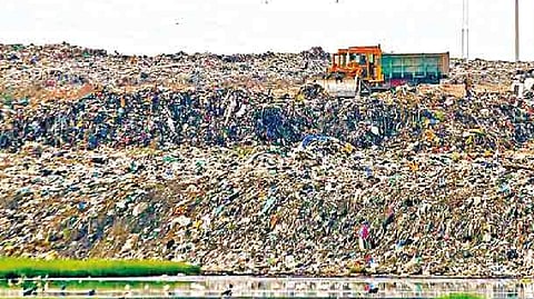 Representative image