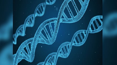 Researchers find time-restricted eating can reshape gene expression