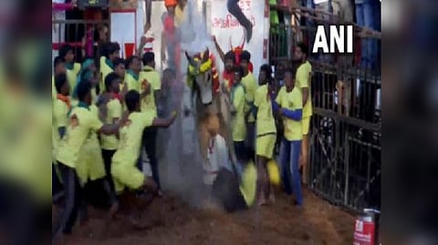 'Jallikattu 2023' event in Madurai's Avaniyapuram