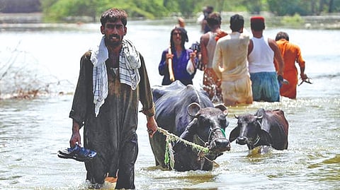 Response to calamity Pak needs help coping with climate disasters