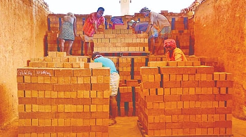 Thadagam valley brick kilns in Coimbatore back in operation