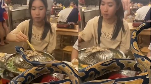 Women dining with python in viral video