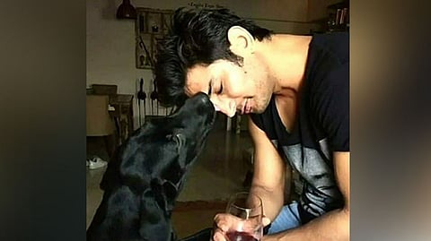 Sushant Singh Rajput's beloved pet dog