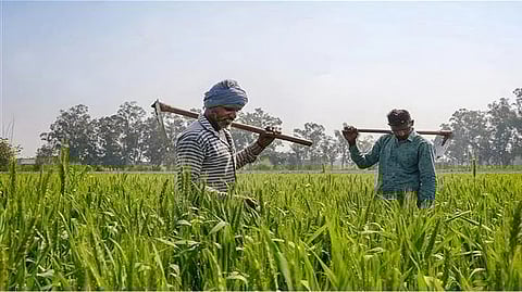 Representative image