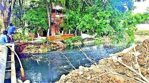 The report said the presence of coliforms indicates the mixing of untreated sewage into the lake.