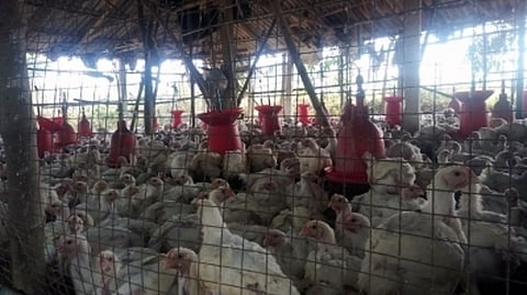 Representative Image