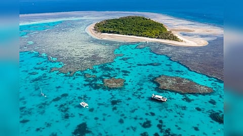 Representative Image