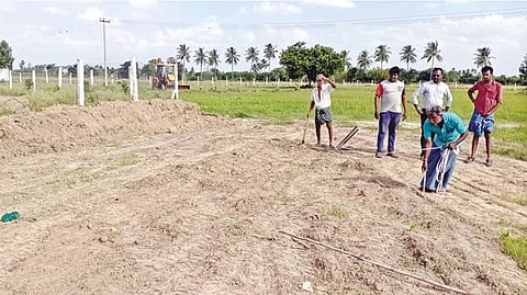 Workers measuring the distance to plant saplings