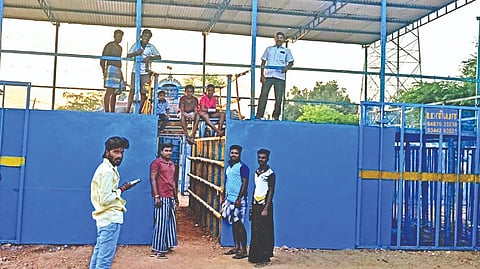 Vadivasal getting ready at Thatchankurichi village, Pudukkottai