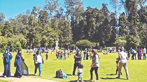 Tourists enjoying the scenery at Government Botanical Garden on Sunday