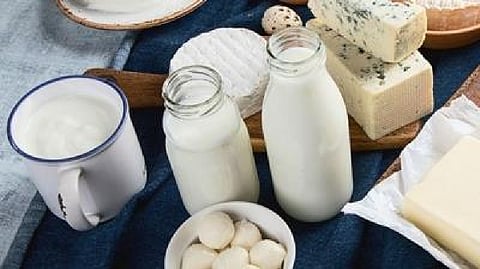 New Zealand's total export value increased