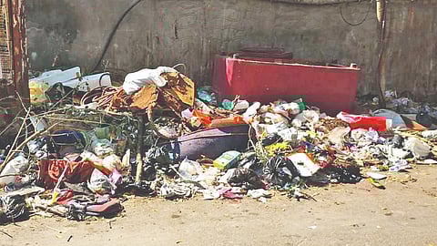 Garbage dumped behind a govt school on Meenakshi Street in Perambur