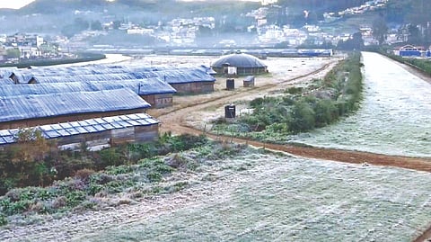 Intense frosting at Nilgiris, 0 degree Celsius recorded in some areas