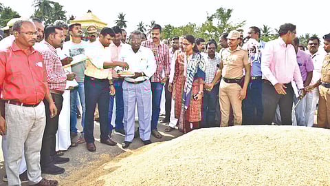 The central team members inspecting damaged paddy in Tiruvarur on Thursday