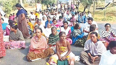 Tribal woman found dead in suspected tiger attack at MTR