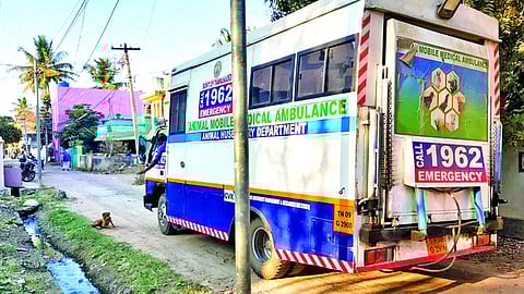 AMMA staff leaving an injured stray on road without moving it to hospital in Kangeyanallur, Katpadi