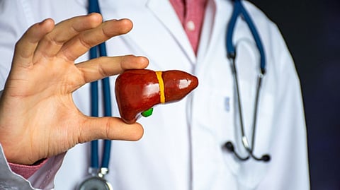 Study shows circovirus involved in human hepatitis