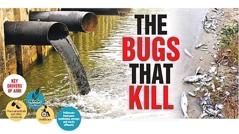 The bugs that kill