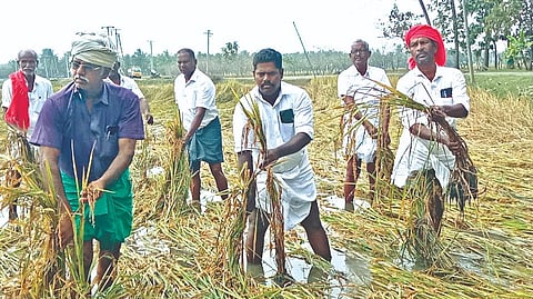 Officials commence crop damage assessment across Delta districts