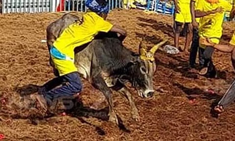 Representative image