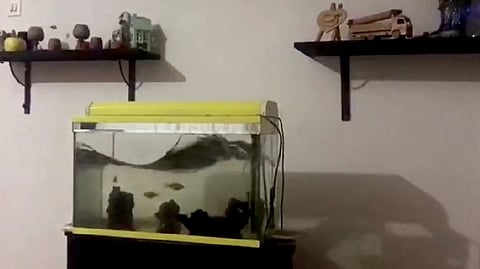 Water in a fish tank is shaken during an earthquake in Diyarbakir